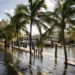 Broward County adopts regulations that require property owners to fix seawalls and disclose whether property is in ‘tidal-flooding area’