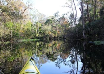 Congress needs to halt the Trump administration’s assault on the Clean Water Act