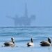 Trump’s dream of oil rigs off Florida’s coasts: Another reason to vote against him