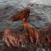 Deepwater Horizon spill: Offshore drilling plans recall oil-fouled tourist season