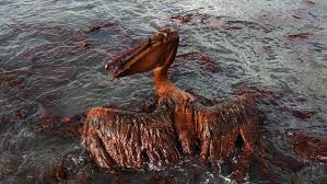 Deepwater Horizon spill: Offshore drilling plans recall oil-fouled tourist season
