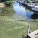 The algae blooms are back. Where’s Florida’s ‘green’ governor?