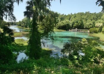 The $150 million the state plans to spend to protect Florida’s springs isn’t nearly enough