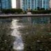 This is an emergency — we must act now to save our beautiful Biscayne Bay