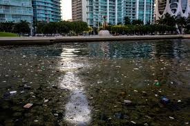 This is an emergency — we must act now to save our beautiful Biscayne Bay