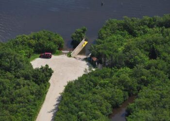 Urge federal authorities to oppose Florida’s plan to have the state control wetlands permitting