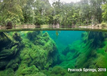 All Floridians will benefit if Orange County voters approve an amendment to protect waterways from pollution