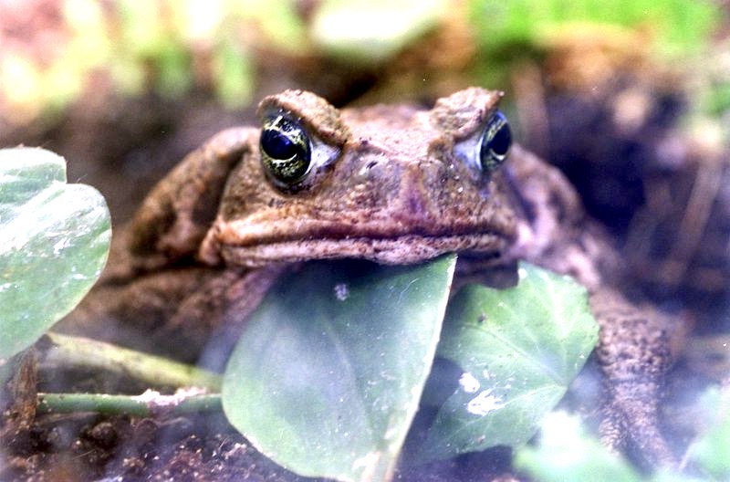 Even if deniers don’t recognize the cost of climate change, insurance companies do