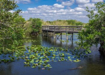 The new federal commitment to preserve 30% of our land and water resources is needed to serve the growing population