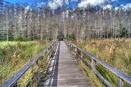 Orange County’s Rights of Nature law is the legal tool other counties need