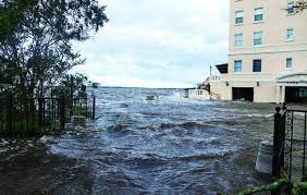 Architects in Jacksonville are designing buildings to withstand far worse flooding from rising seas than government officials foresee