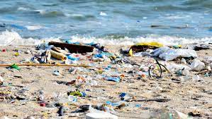 Single-use plastics are causing more and more damage and we can’t recycle our way out of the problem