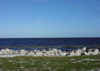 Florida Senate births sneaky scheme to help Big Sugar