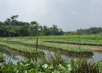 Florida’s soil and water conservation districts are under attack