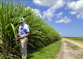 Save Florida’s soil and water conservation districts