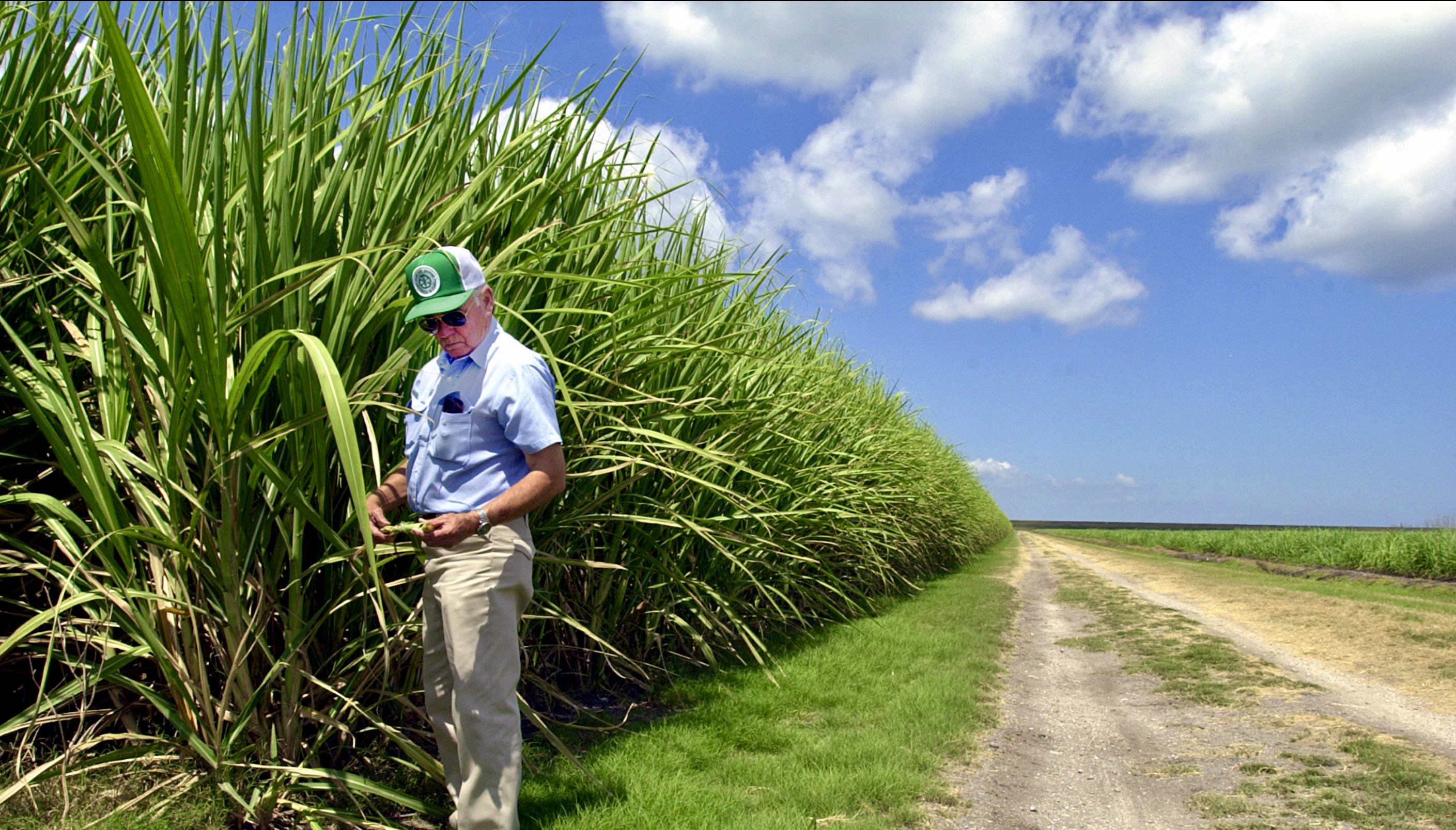 Save Florida’s soil and water conservation districts The Invading Sea