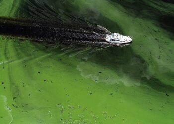 Florida officials deserve failing grade for the condition of many waterways