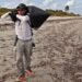 I’ve removed 10 tons of trash from Miami mangroves. You can help — without getting dirty