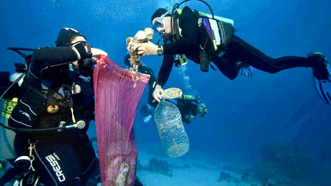 Death of whale near Key West highlights the dangers posed by plastics