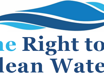 New York court case is a potent example of what a clean water amendment could accomplish in Florida