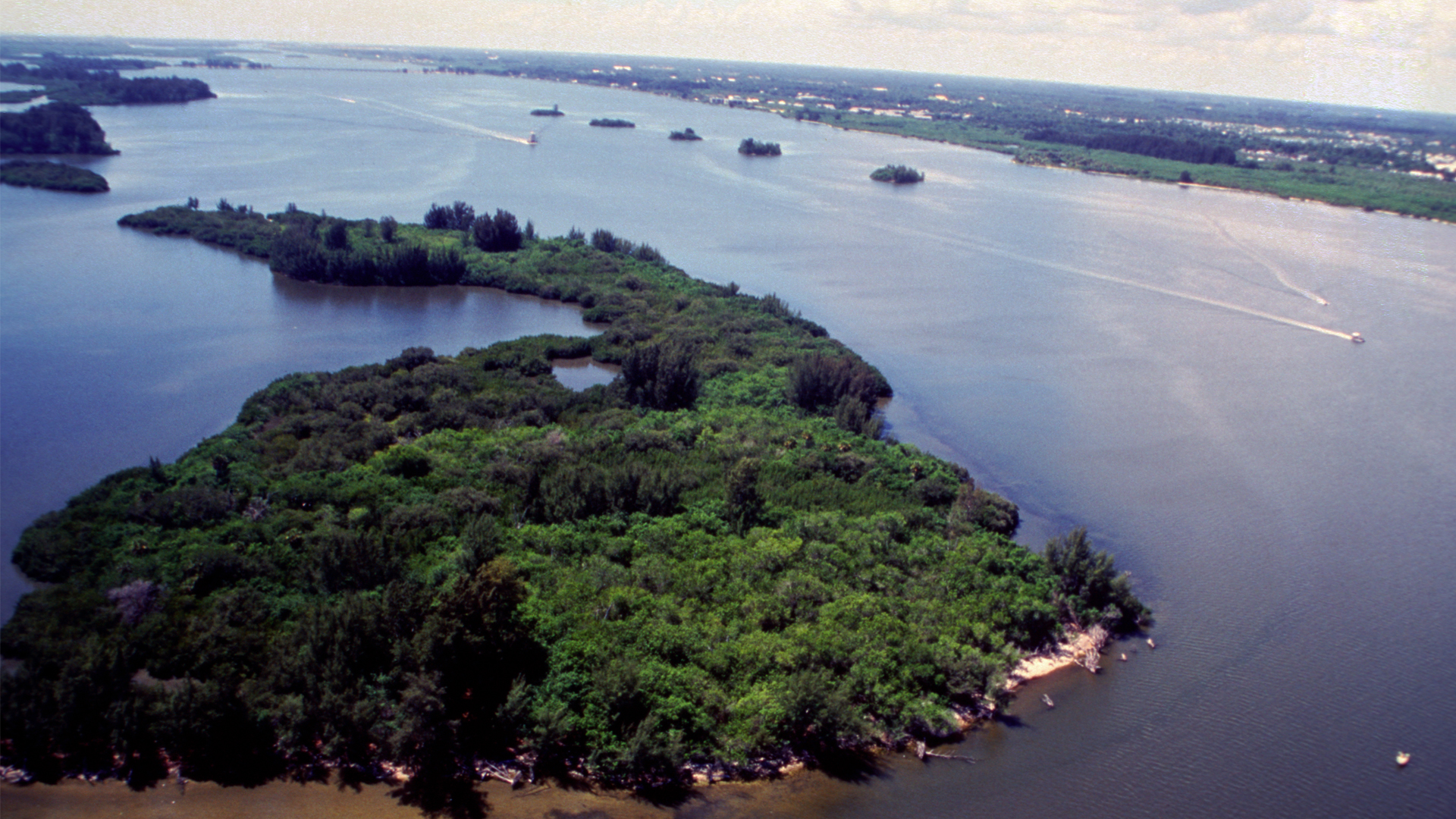 An aerial view of the Indian River Lagoon. (U.S. Fish and Wildlife Service, Public domain, via Wikimedia Commons)