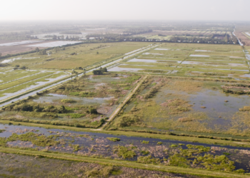 LILA - A Living Laboratory for Everglades Restoration