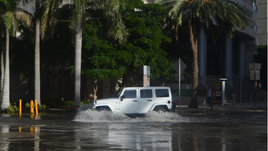 Flooding in downtown Miami during king tide. (B137, CC0, via Wikimedia Commons)
