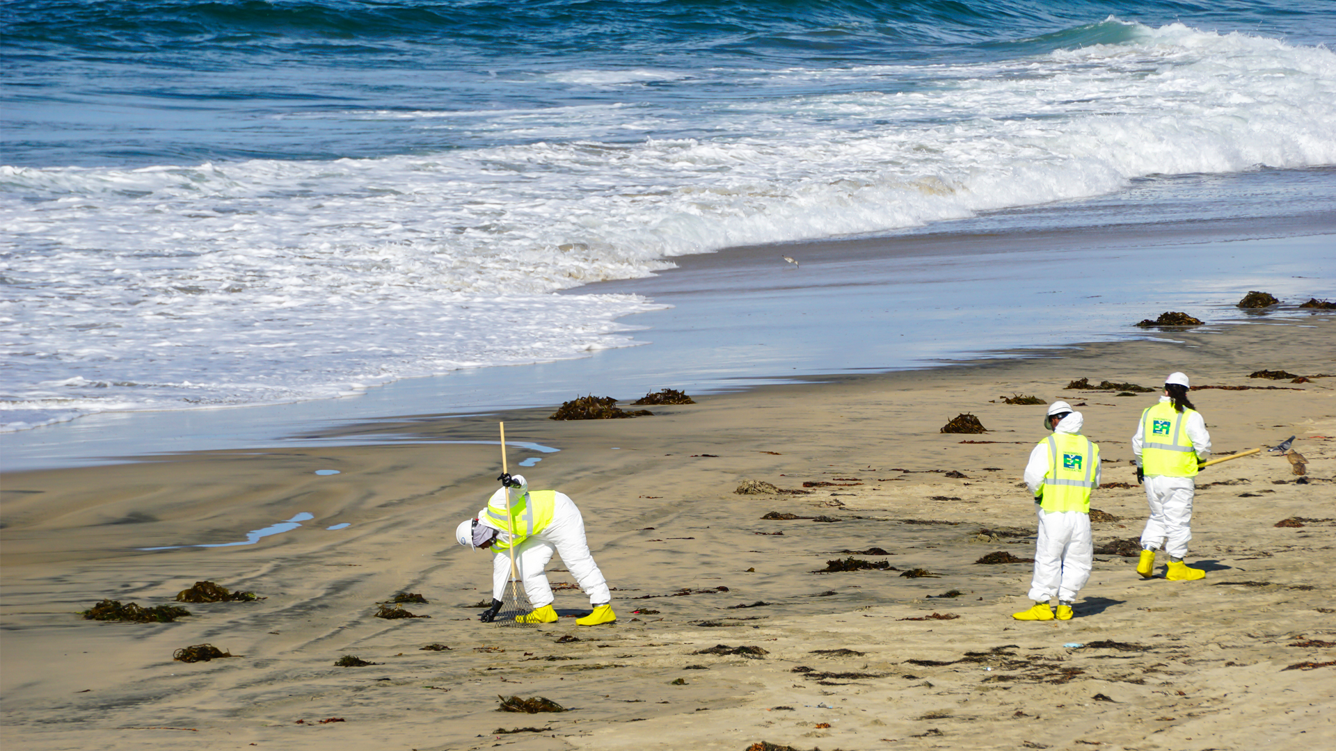 Environmental workers clean up beach after large oil spill off Huntington Beach, California. (iStockphoto image)
