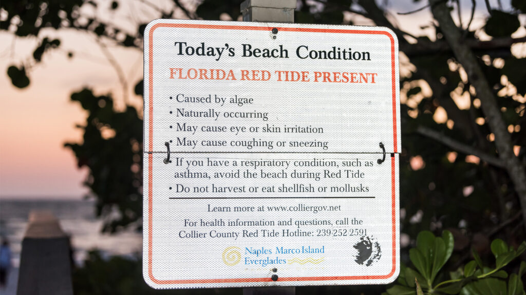 A sign warns of red tide off the coast near Naples. (iStockphoto image)
