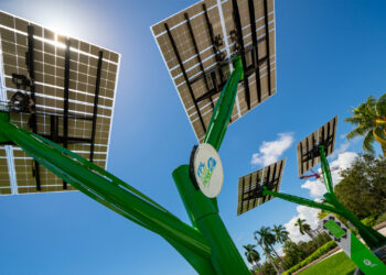 Florida Power and Light solar trees at Young Circle Arts Park in Hollywood, Florida. (iStockphoto image)