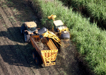 An aerial view of sugarcane fields in South Florida. (iStockphoto image)