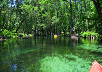 A kayak paddles down the Ichetucknee River in Ichetucknee Springs State Park near Fort White. (iStockphoto image)