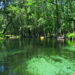 A kayak paddles down the Ichetucknee River in Ichetucknee Springs State Park near Fort White. (iStockphoto image)