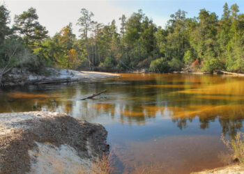 A view of the Blackwater River. (Mike Tilley, CC BY 3.0, via Wikimedia Commons)