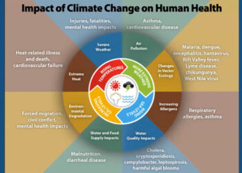 A slide from a presentation, "Your Health in a Changing Climate," from the League of Women Voters of Broward County.