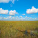 The view from the Pa-Hay-Oke trail in Everglades National Park, (Daniel Kraft, CC BY-SA 3.0, via Wikimedia Commons)