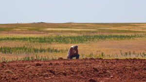 A farmer deals with drought conditions. (Al Jazeera English, CC BY-SA 2.0, via Wikimedia Commons)