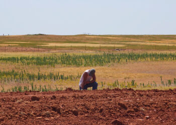 A farmer deals with drought conditions. (Al Jazeera English, CC BY-SA 2.0, via Wikimedia Commons)