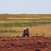 A farmer deals with drought conditions. (Al Jazeera English, CC BY-SA 2.0, via Wikimedia Commons)