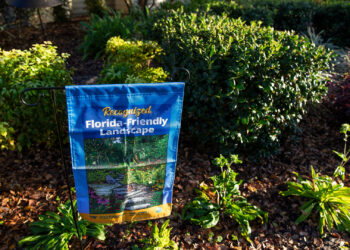 A Florida-Friendly Landscape. (UF/IFAS)