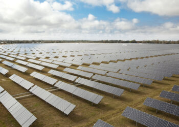 Florida Power & Light Company's DeSoto Next Generation Solar Energy Center. (ASCOM Prefeitura de Votuporanga, CC BY 2.0, via Wikimedia Commons)