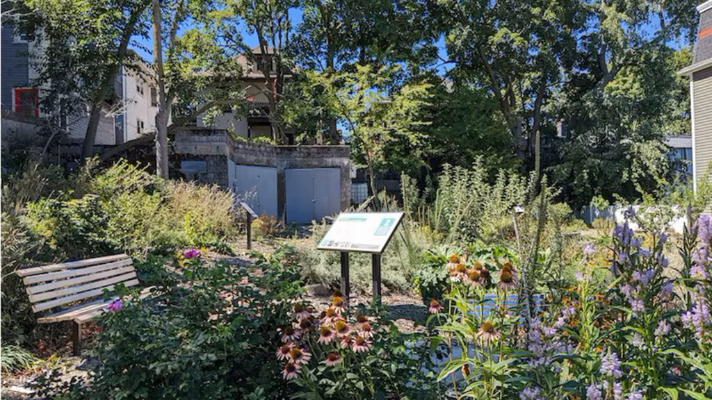 The Uphams Corner Food Forest in Boston’s Dorchester neighborhood was built on a vacant lot. (Boston Food Forest Coalition, CC BY-ND)