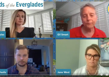 Friends of the Everglades livestream screenshot