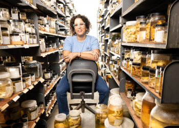 Nikki Traylor-Knowles, an associate professor of marine biology and ecology at the University of Miami, poses for a portrait in the Gil and Nancy Voss Marine Invertebrate Collection. (Photo by Joshua Prezant/University of Miami)