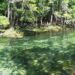 Spring run in Manatee Springs State Park, near Chiefland. (Ebyabe, CC BY-SA 3.0,, via Wikimedia Commons