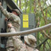Soldiers from the Puerto Rico National Guard operate a system that distributes water to the public in the wake of Hurricane Fiona in 2022. (The National Guard, CC BY 2.0, via Wikimedia Commons)