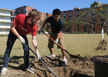 A tree is planted. (Tulane Public Relations, CC BY 2.0, via Wikimedia Commons)