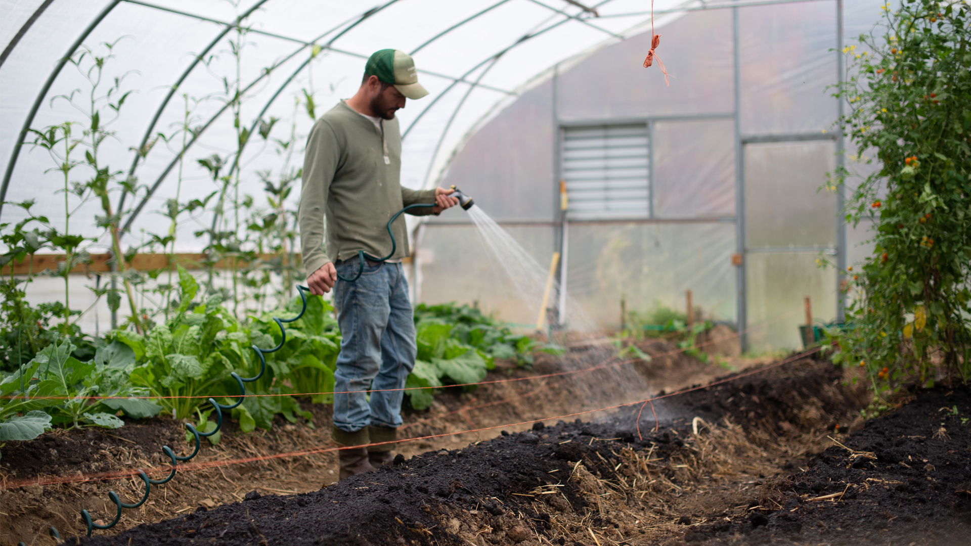 Plants being watered in a greenhouse. (Photo by Zoe Schaeffer)
