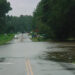 A flooded roadway in Alachua County (Submitted photo)