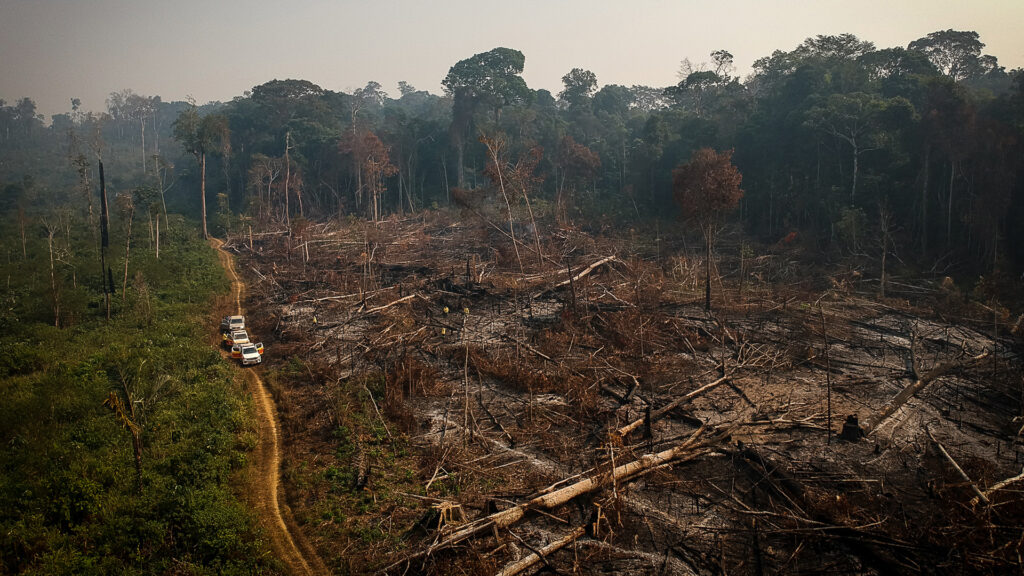 An area of ​​felled and burned trees seen in a rural part of ​​the municipality of Amazonas, Brazil.(Amazônia Real from Manaus AM, Brasil, CC BY 2.0, via Wikimedia Commons)